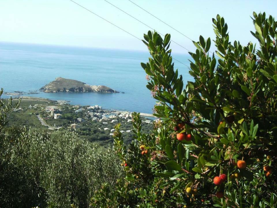 Porteo - Les Terrasses Du Port Centuri Εξωτερικό φωτογραφία