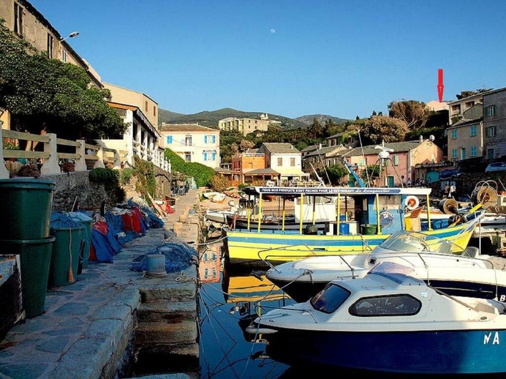 Porteo - Les Terrasses Du Port Centuri Εξωτερικό φωτογραφία