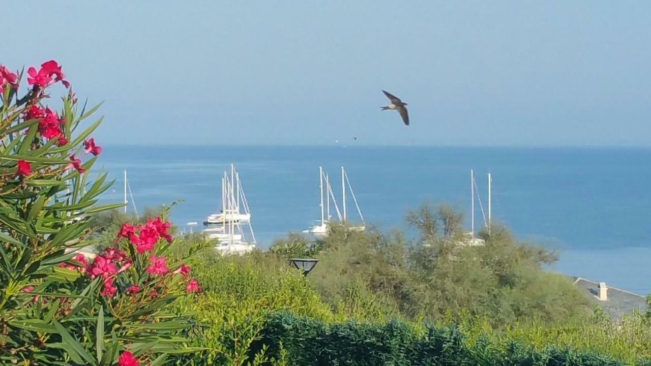 Porteo - Les Terrasses Du Port Centuri Εξωτερικό φωτογραφία